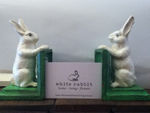 White-Rabbit-Pics-Jan-2013-054.JPG